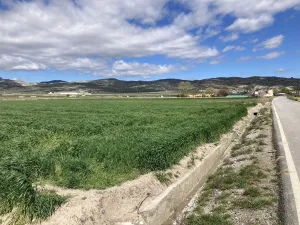 Finca agrícola de regadío en la vega Granada