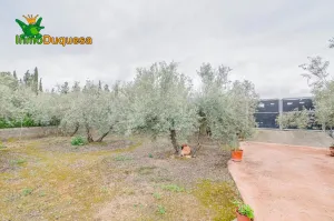 Finca rústica en OGIJARES (Incluye MOBILE HOME)