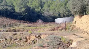 Venta Finca Rústica, Urb. Castellmoster, Castellvell Del Camp