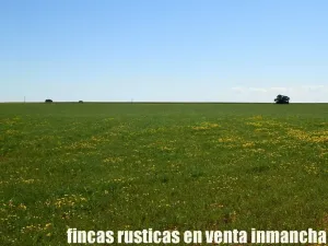 finca en venta 295 has. labor secano Albacete