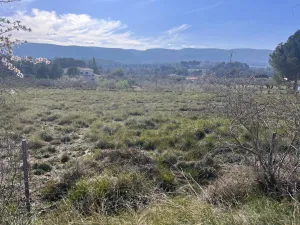 OPORTUNIDAD!! ESPECTACULAR FINCA RÚSTICA PARA REFORMAR (Con 7 hectáreas de terreno adyacentes opcionales)