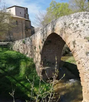 Finca en Poza de la Sal