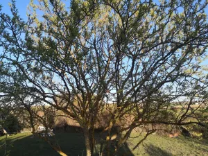 Finca en Modubar de la Emparedada