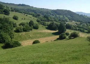Finca en Corvera de Toranzo