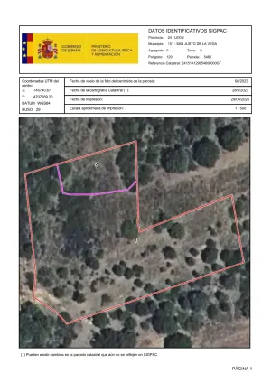 5 FINCAS RÚSTICAS: SECANO, PASTO Y FORESTAL