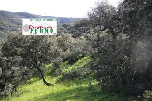 Finca de hípica y cinegética cerca de Córdoba