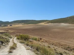 FINCA RÚSTICA EN ESCÚZAR (GRANADA) – 15,7ha