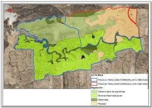 Dehesa Tamujoso | 650 ha de dehesa productiva con explotación ganadera y cinegética en Huelva