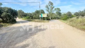 FINCA RÚSTICA CON ENCANTO EN EL RONQUILLO – 8.500 m2 APROX. + PISCINA + LUZ + AGUA🌿🔥
