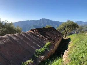 Finca en Alora