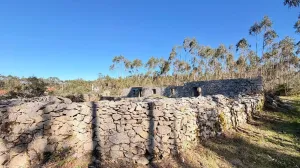 Finca en Porto de Mós