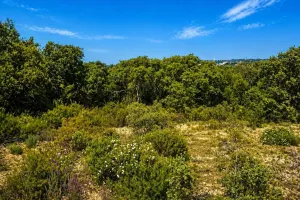 Finca en Ourém