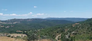 FINCA EN LUZAS 99 HECT. AGRICOLA O INVERSION