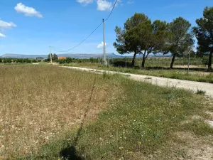 Finca agrícola de 2 ha en venta en Albacete