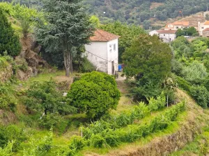 Finca en Resende