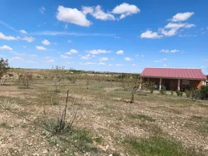 Finca Rustica granja de gallinas ecológicas