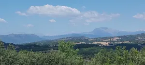 FINCA DE 98,384 HECT. CASA Y BOSQUE TRUFERO.