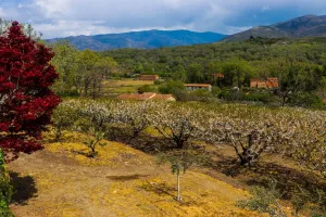 Jarandilla de la Vera