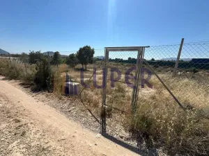 SE VENDE MAGNÍFICA FINCA RÚSTICA CON PARTE URBANA EN EL MORALET (ALICANTE)