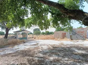 Quinta em Palmela, Setúbal