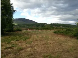 Finca rustica de 3000 m en Jarandilla