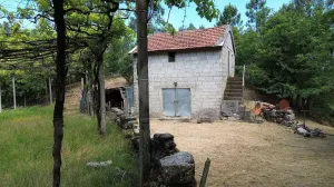 Finca en Fafe