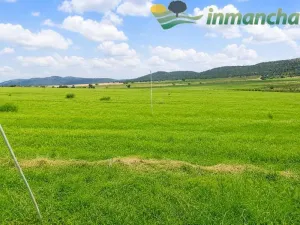 finca en venta 166 has. labor viña riego