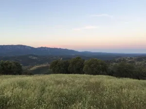 FINCA DE DEHESA DE 30 HECTÁREAS EN PLENA SIERRA MORENA (CORDOBA)