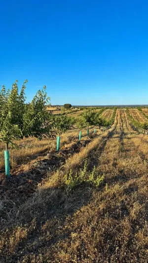 ^**^FINCA AGRÍCOLA Y DE RECREO EN TOLEDO – 17 HECTÁREAS CON MÚLTIPLES POSIBILIDADES DE DESARROLLO^**^