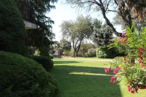Finca exclusiva en Madrid Ref. 1549