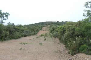 Finca recreo, caza e hípica Ref. 1547