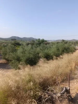 Casa rústica con porche y patio en Paraje Retamar, Cehegín – 97 m2