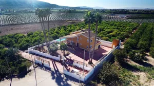 Finca en Orihuela - Alicante