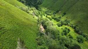 Encantadora Finca Rústica en Infiesto, Asturias por solo 59.000€