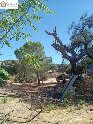 Finca Rústica de Recreo