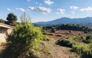 Finca Rústica con Amplias Posibilidades