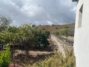 Gran oportunidad de negocio en Granadilla de Abona.