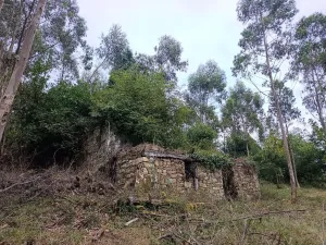 Finca en Pravia