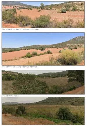 finca regadio y secano