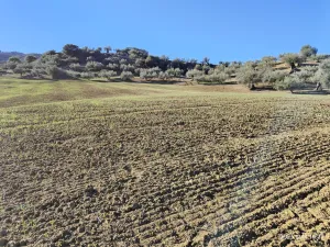 Riogordo - Colmenar 262,3 Ha Cortijo Napolín