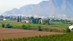 Finca en Callosa de Segura