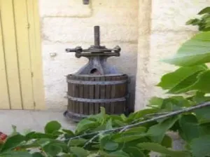  Bodega de ensueño en Monachil (Granada) – ¡Naturaleza, tradición y oportunidad en un mismo sitio!
