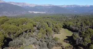 Finca rústica en pleno Valle del Tiétar