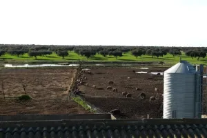 FINCA AGROGANADERA A 30KM DE BADAJOZ
