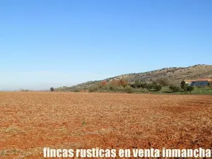 finca en venta 118 has. ciudad real