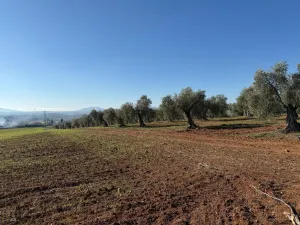 Se vende finca de regadío a 5min de Mérida