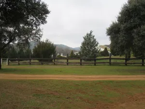 FINCA HIPICA Y DE RECREO EN SEVILLA - 1353