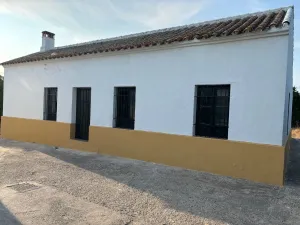 Finca de naranjos en Palma del Río