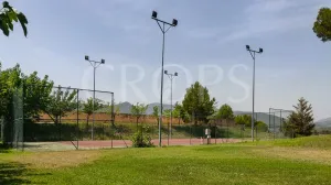 Finca de recreo con un chalet en Alicante