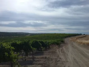 OPORTUNIDAD VENTA DE GRAN FINCA DE REGADIO